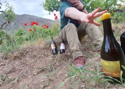 AreWine, Arev